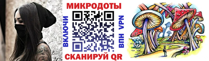 купить закладку  Майкоп  Псилоцибиновые грибы Magic Shrooms 