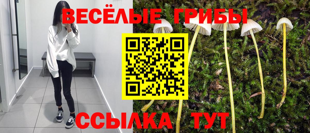 Галлюциногенные грибы MAGIC MUSHROOMS  Псилоцибиновые грибы Psilocybe  Вход с VPN  Майкоп 