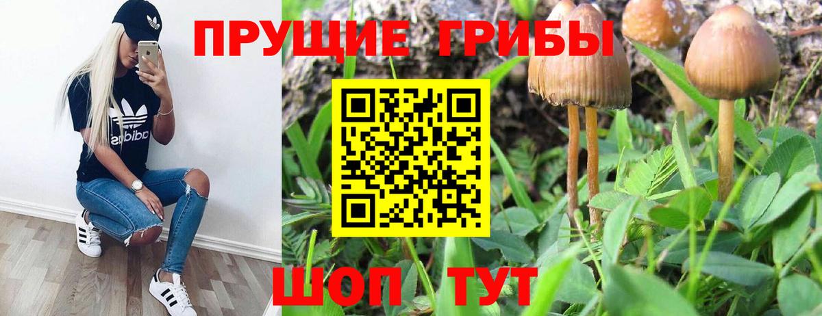 Псилоцибиновые грибы MAGIC MUSHROOMS Майкоп